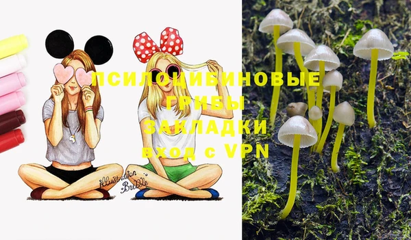 марки lsd Алексин