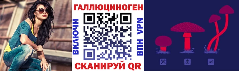 Купить закладки  Миллерово  Псилоцибиновые грибы Psilocybine cubensis 